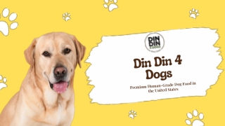 Din Din 4 Dogs : A Premium Human-Grade Dog Food in the United States