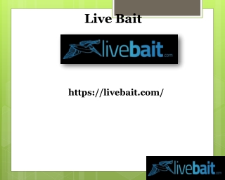 8 ft Cast Net, livebait