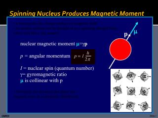 Spinning Nucleus Produces Magnetic Moment
