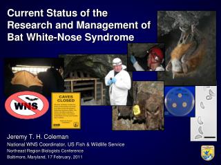 Current Status of the Research and Management of Bat White-Nose Syndrome