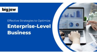 Effective Strategies to Optimize Enterprise-Level Business