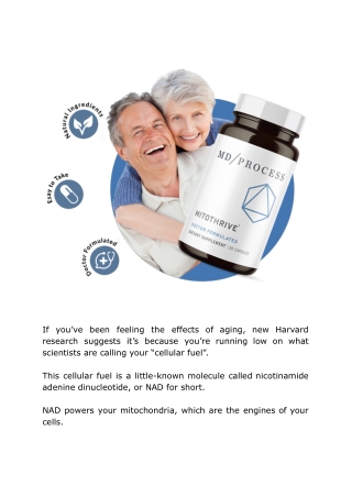 Cellular Refuelling Technique’ That Promotes Youthful Aging