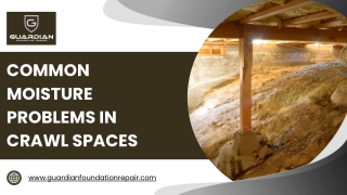 Common Moisture Problems in Crawl Spaces