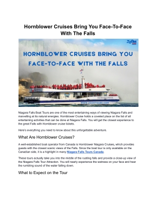 Hornblower Cruises Bring You Face-To-Face With The Falls