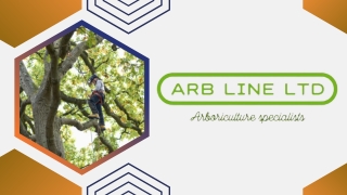 Tree Surgery Wirral