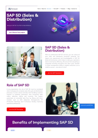 SAP SD Consulting Services