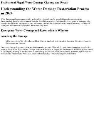 Professional Wilmore KY Water Damage Services