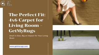 Perfectly Sized carpet for living room 4x6