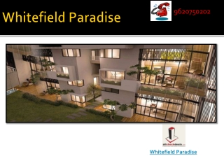 Whitefield Paradise