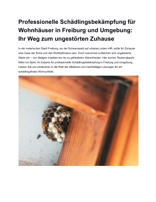 Professionelle Schädlingsbekämpfung für Wohnhäuser in Freiburg