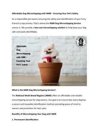 Affordable Dog Microchipping with NMR – Ensuring Your Pet’s Safety