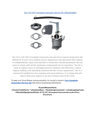 Toro 119-1977 Complete Carburetor Service Kit _ WholeToolBox