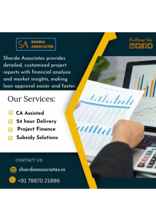detailed project reports for a variety of financial and business requirements