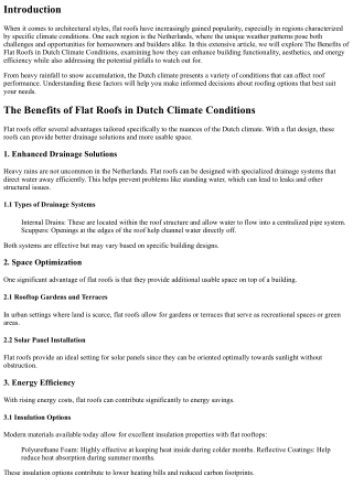 The Benefits of Flat Roofs in Dutch Climate Conditions
