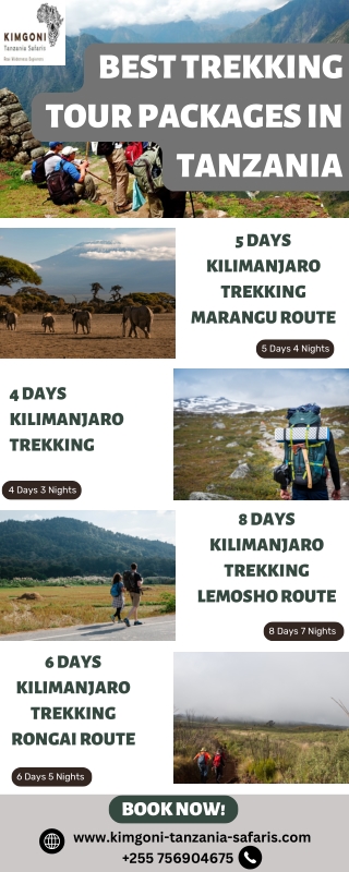 Best Trekking Tour Packages in Tanzania - Kimgoni Tanzania Safaris