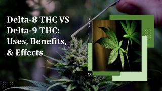 Delta-8 THC VS Delta-9 THC: Uses, Benefits, & Effects