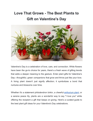 Love That Grows - The Best Plants to Gift on Valentine's Day
