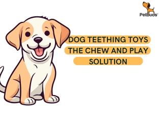 Dog Teething Toys The Chew and Play Solution