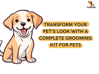 Transform Your Pet’s Look with a Complete Grooming Kit for Pets