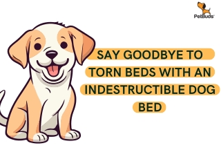 Say Goodbye to Torn Beds with an Indestructible Dog Bed