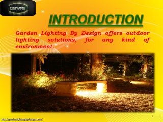 Outdoor Garden Lighting