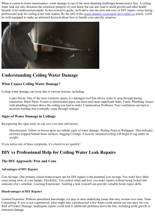 “DIY vs Professional Help for Ceiling Water Leak Repairs”