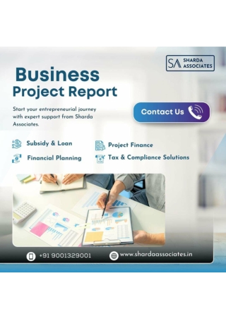 project report for cmegp loan