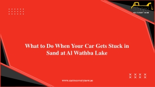 What to Do When Your Car Gets Stuck in Sand at Al Wathba Lake