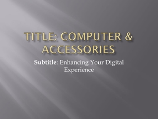 Computer & Accessories