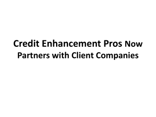 Credit Enhancement Pros Now Partners with Client Companies
