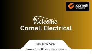 Domestic Electricians