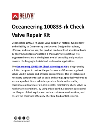 Oceaneering 100833-rk Check Valve Repair Kit