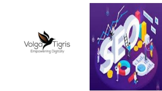 _SEO agency Dubai _ Volga Tigris