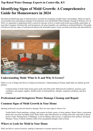 Top Water Damage Repair Services in Georgetown, KY