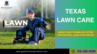 Texas Lawn Care by Green Forest Sprinklers