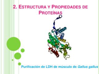 2. Estructura y Propiedades de Proteínas