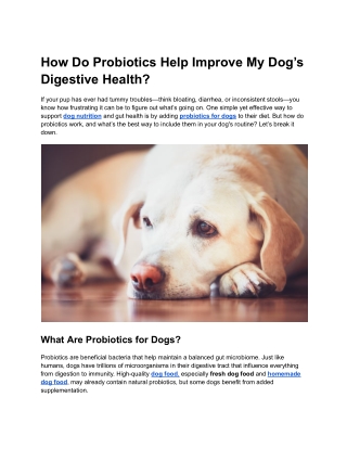 How Do Probiotics Help Improve My Dog’s Digestive Health?