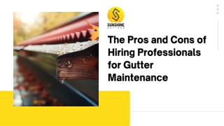 The Pros and Cons of Hiring Professionals for Gutter Maintenance