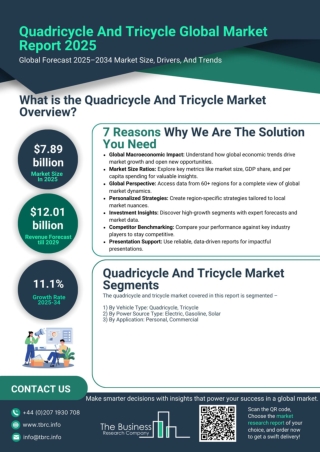 241206_Quadricycle_And_TricQuadricycle And Tricycle Market Report 2025 - Quaycle