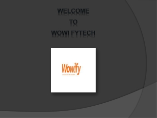 SEO Work in BC | Wowi Fytech