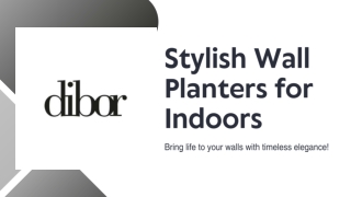 Perfect Indoor Planters for Every Home Style