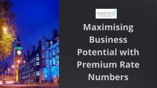 Boost Your Business Revenue with Premium Rate Numbers