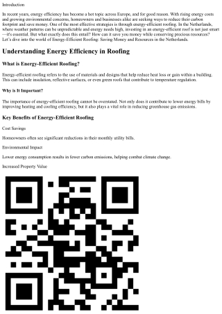 Energy-Efficient Roofing: Saving Money and Resources in the Netherlands