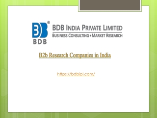 B2b Research Companies in India.