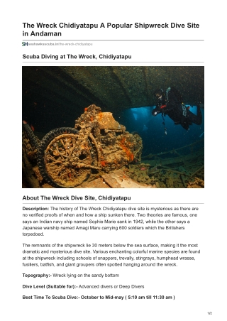 Scuba Diving at the Wreck dive site, Chidiyatapu