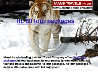 ltc 80 tour packages