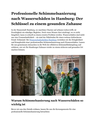 Professionelle Schimmelsanierung nach Wasserschäden in Hamburg