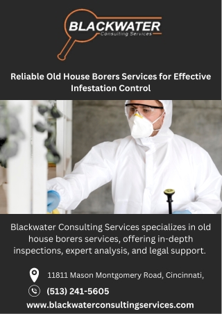 Reliable Old House Borers Services for Effective Infestation Control