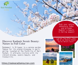 badamwari tour