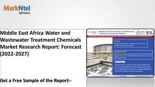 Middle East Africa Water and Wastewater Treatment Chemicals Market